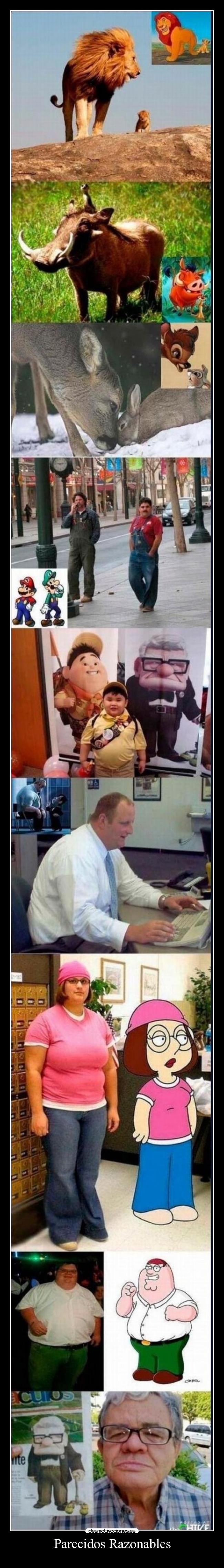 Parecidos Razonables -