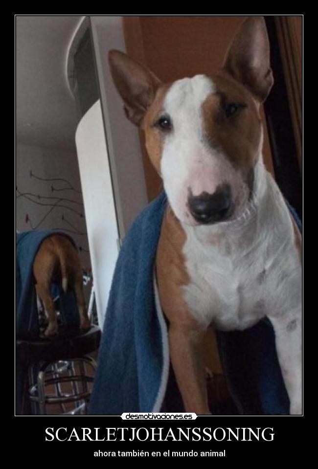 SCARLETJOHANSSONING -