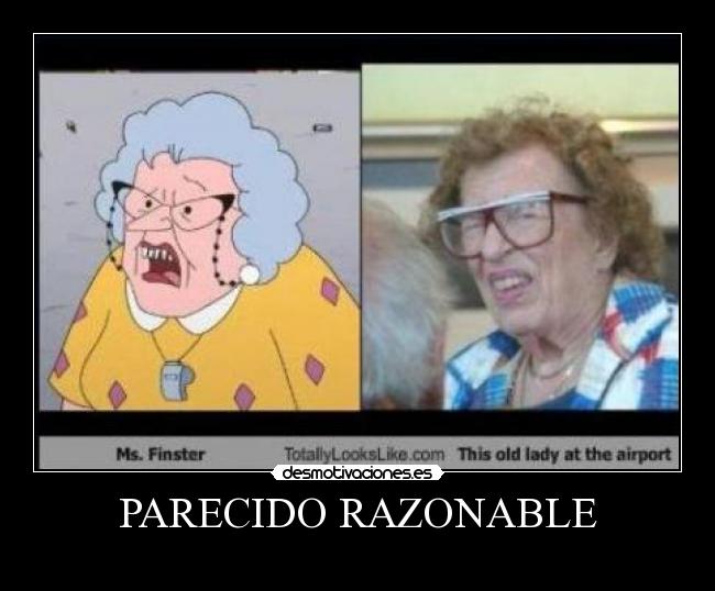 PARECIDO RAZONABLE -