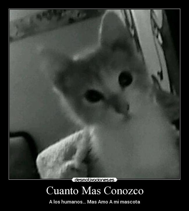 Cuanto Mas Conozco -