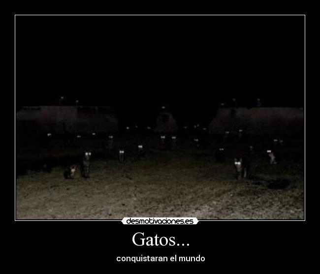Gatos... - conquistaran el mundo