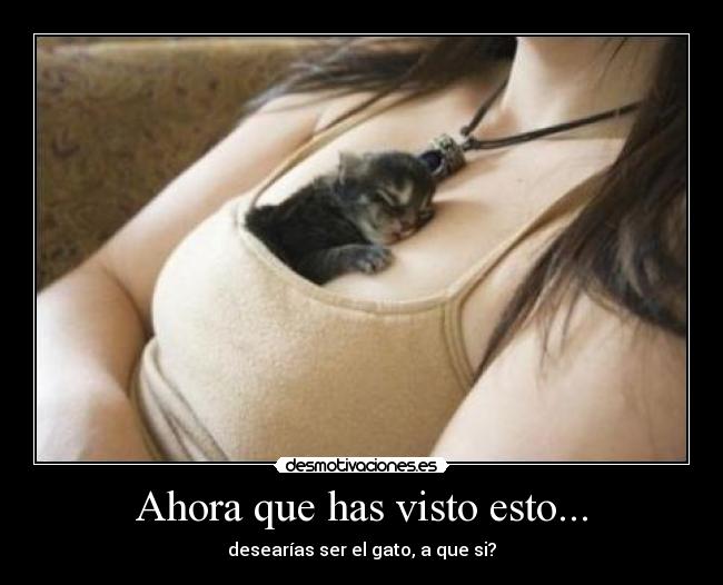 Ahora que has visto esto... -
