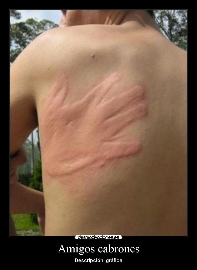 carteles amigos piscina desmotivaciones