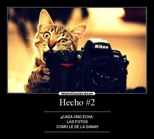 Hecho #2 - -----------------------------------------------
¡¡CADA UNO ECHA
LAS FOTOS
COMO LE DE LA GANA!!
----------------------------------------------