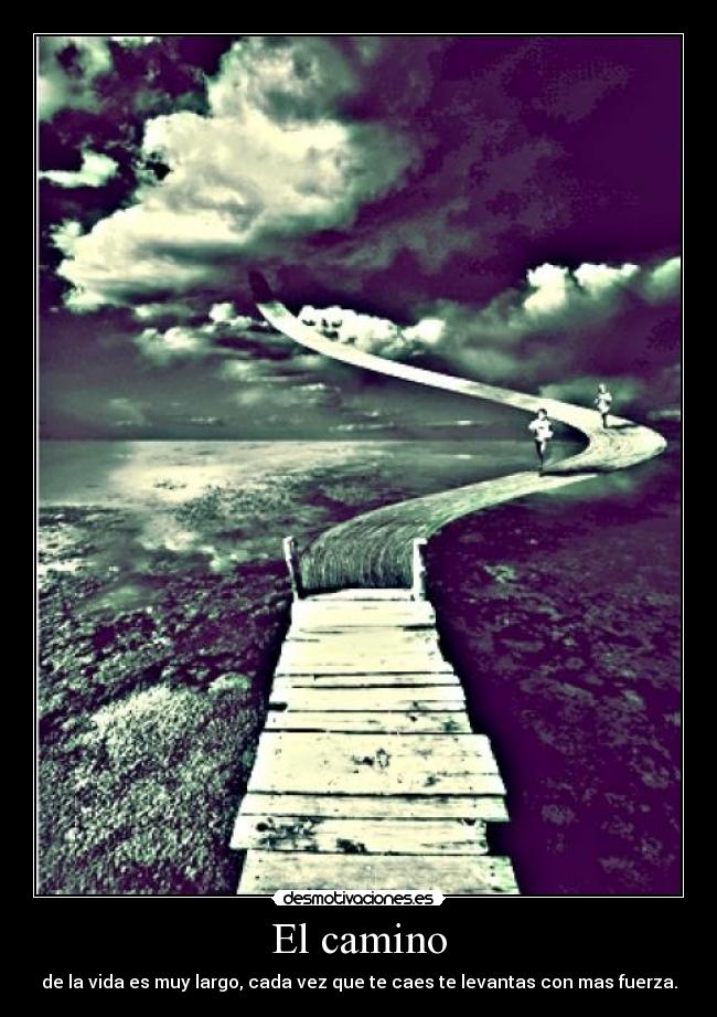 El camino - de la vida es muy largo, cada vez que te caes te levantas con mas fuerza.