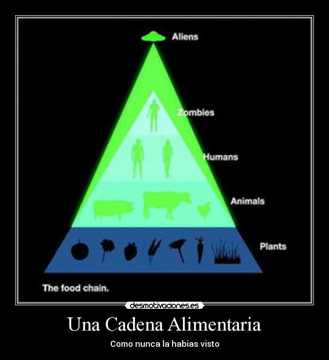 Una Cadena Alimentaria - Como nunca la habias visto