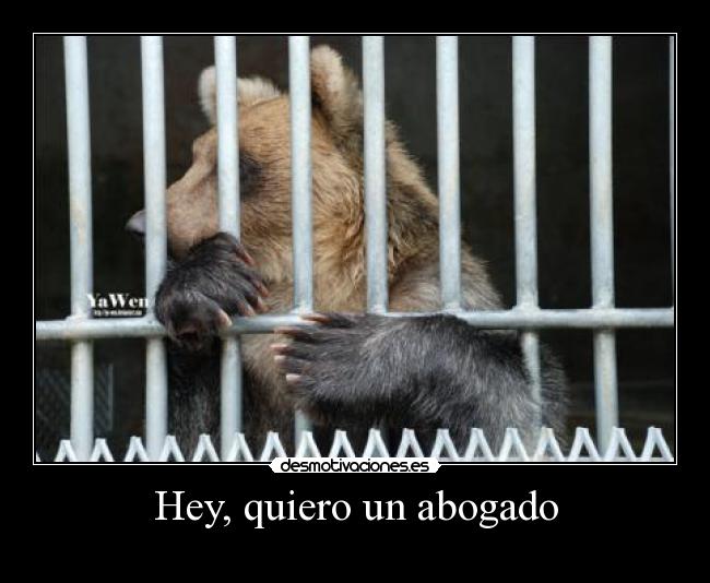 Hey, quiero un abogado -