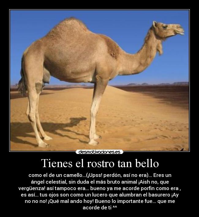 Tienes el rostro tan bello - 