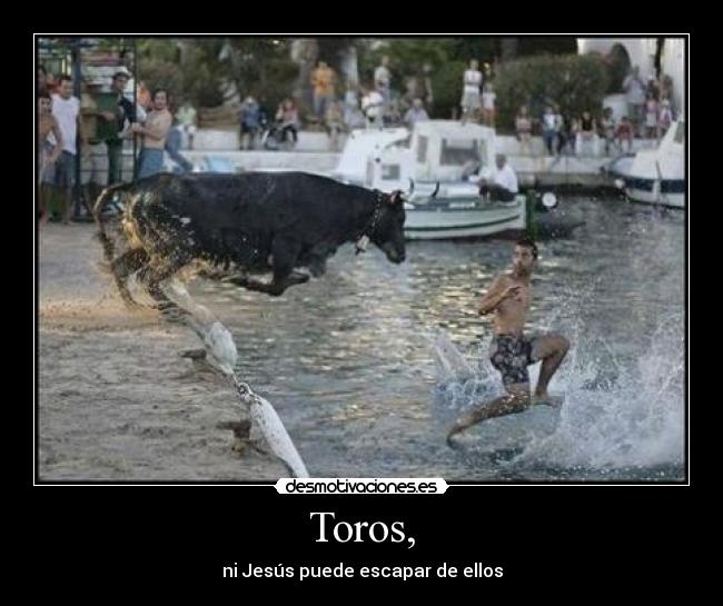 carteles toros desmotivaciones