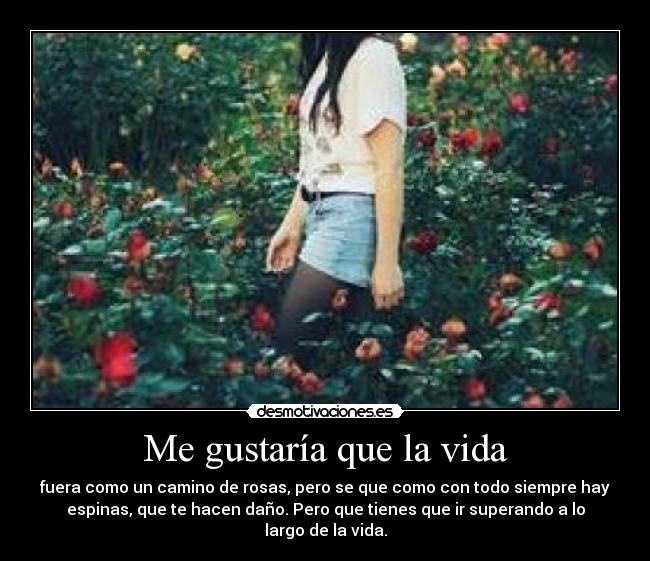 Me gustaría que la vida - 