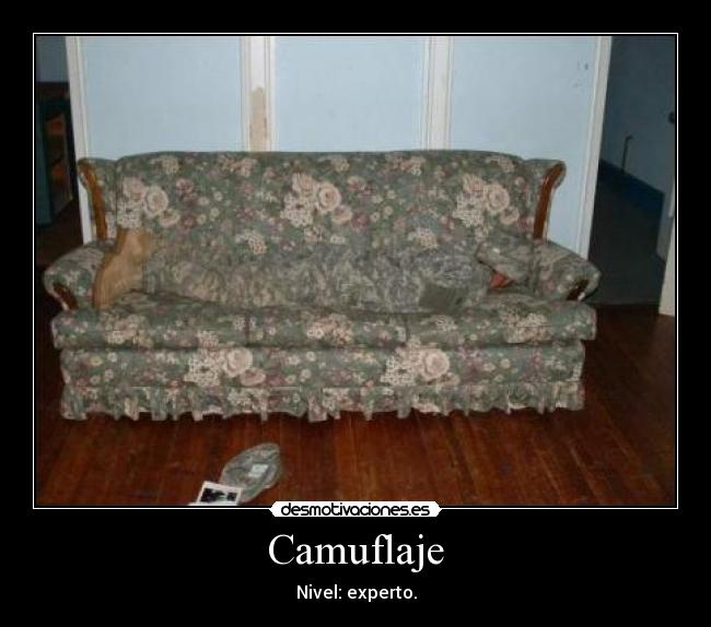 Camuflaje - Nivel: experto.
