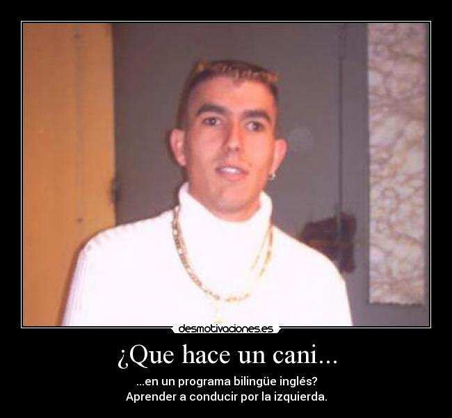 ¿Que hace un cani... - ...en un programa bilingüe inglés?
Aprender a conducir por la izquierda.