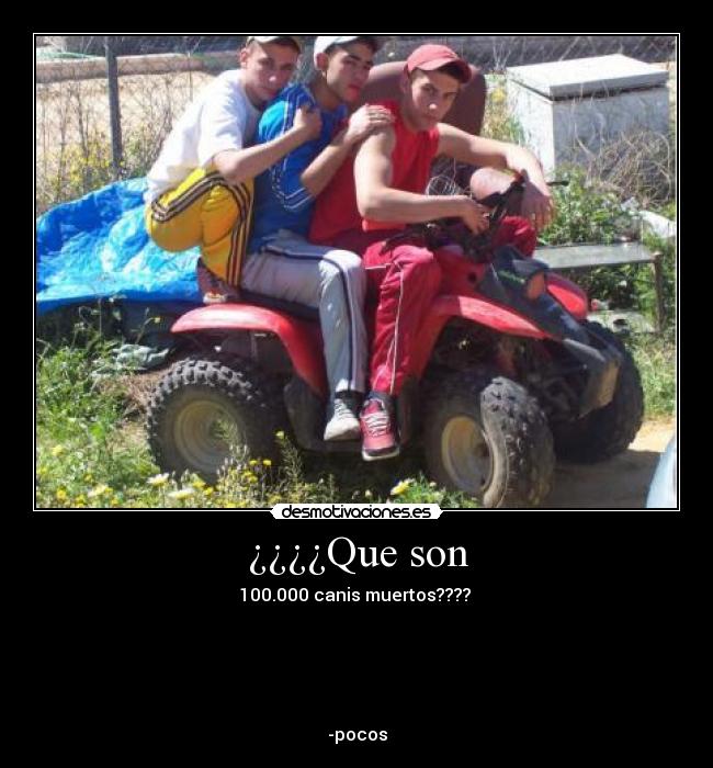 ¿¿¿¿Que son -