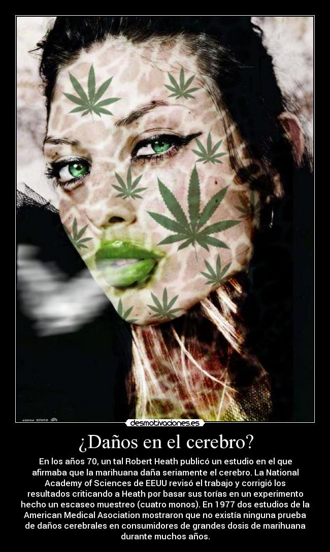 ¿Daños en el cerebro? - 