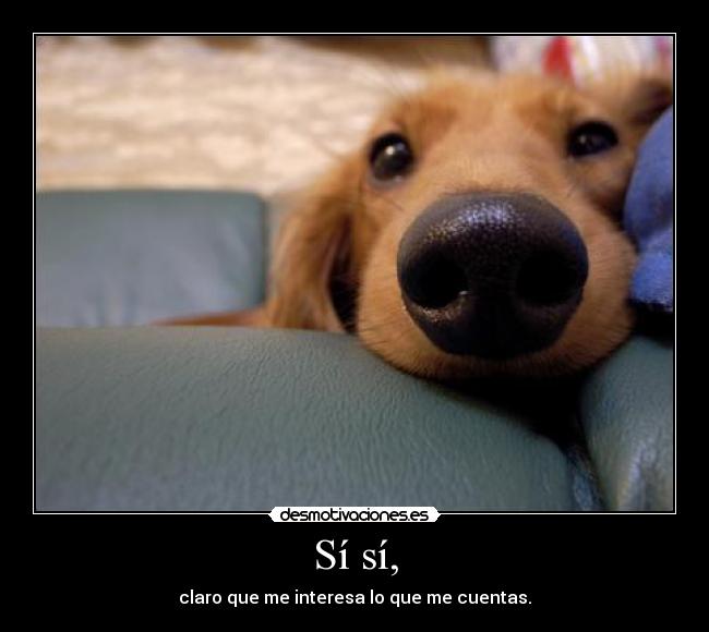 Sí sí, - claro que me interesa lo que me cuentas.
