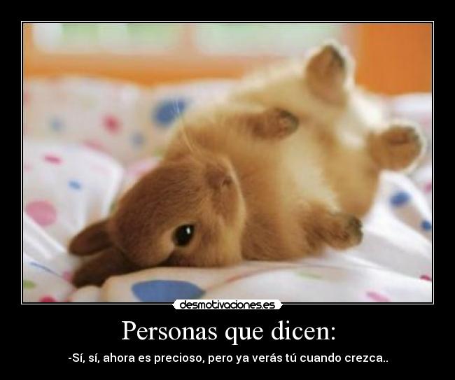 Personas que dicen: -