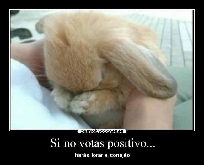 Si no votas positivo... -