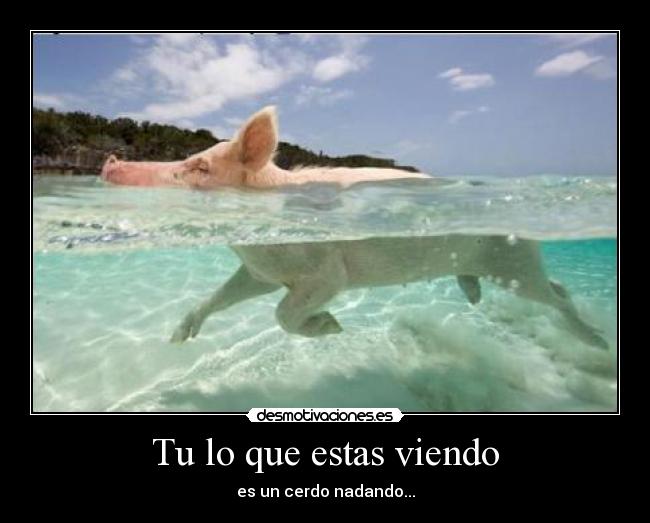 Tu lo que estas viendo - 