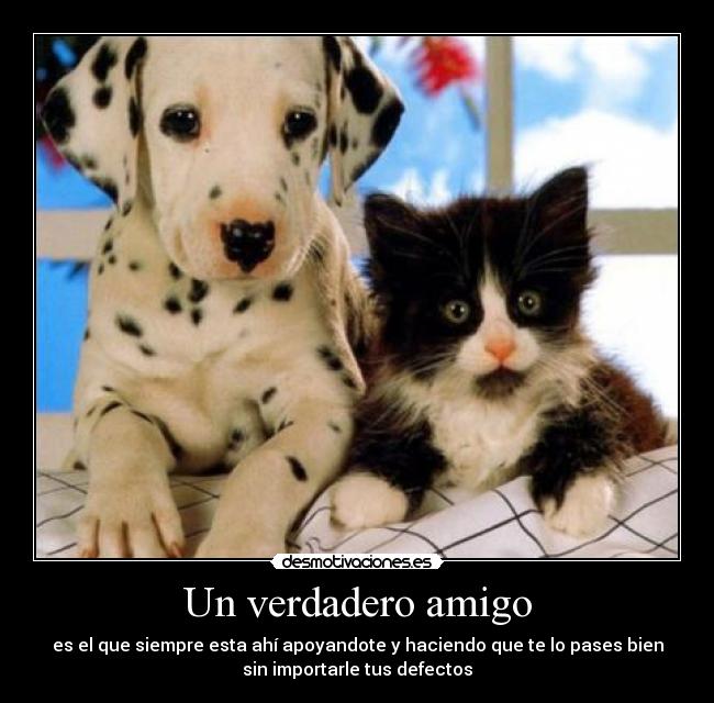 Un verdadero amigo - 