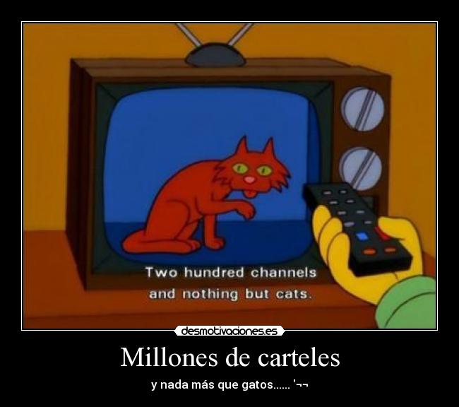 Millones de carteles - y nada más que gatos...... ¬¬