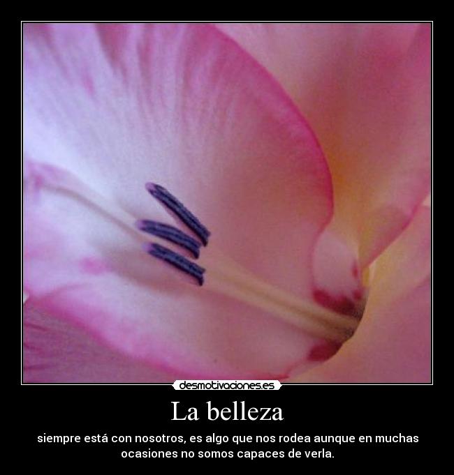 La belleza - siempre está con nosotros, es algo que nos rodea aunque en muchas
ocasiones no somos capaces de verla.