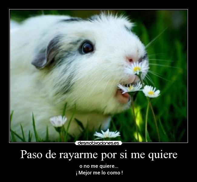 Paso de rayarme por si me quiere - o no me quiere...
¡ Mejor me lo como !
