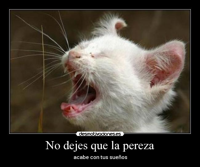 No dejes que la pereza - acabe con tus sueños