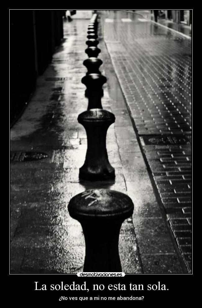 La soledad, no esta tan sola. - ¿No ves que a mi no me abandona?