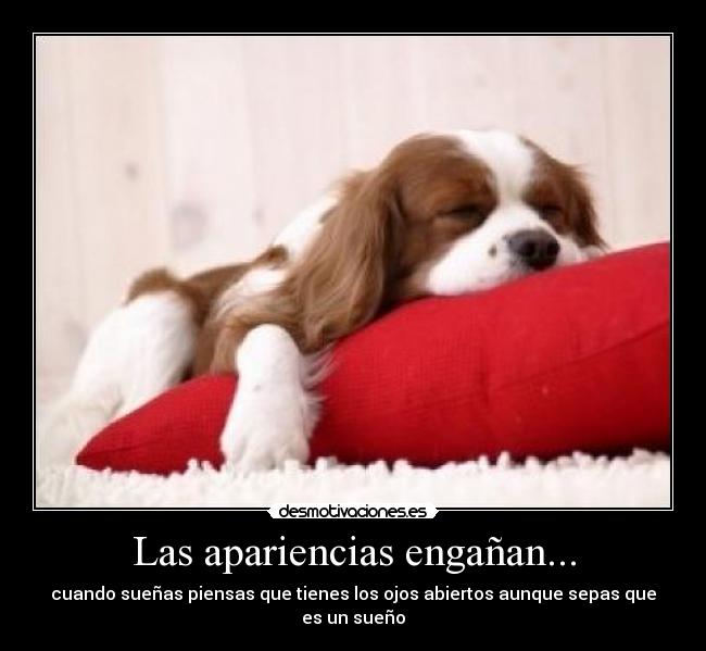 Las apariencias engañan... -