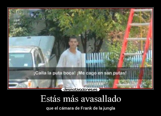 Estás más avasallado - que el cámara de Frank de la jungla