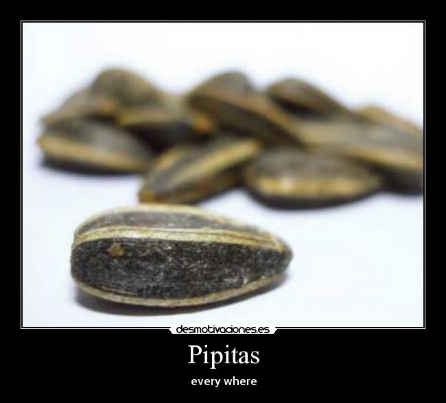 Pipitas - every where