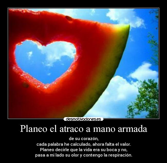 Planeo el atraco a mano armada - de su corazón,
cada palabra he calculado, ahora falta el valor.
Planeo decirle que la vida era su boca y no,
pasa a mi lado su olor y contengo la respiración.