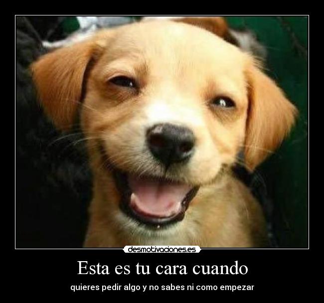 Esta es tu cara cuando - quieres pedir algo y no sabes ni como empezar