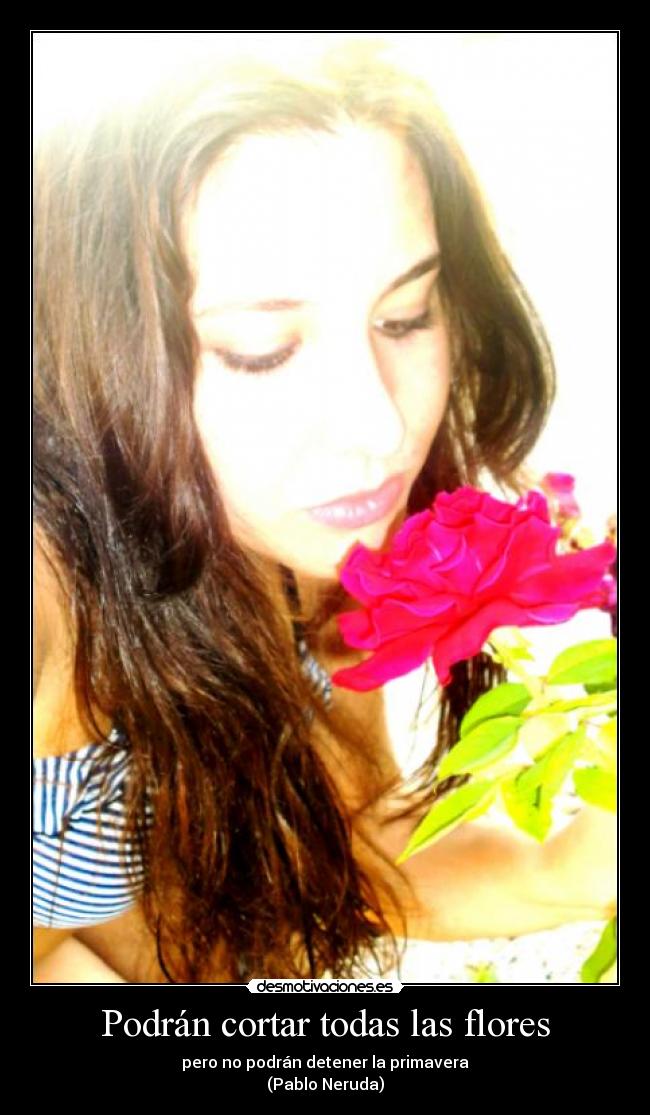 Podrán cortar todas las flores -