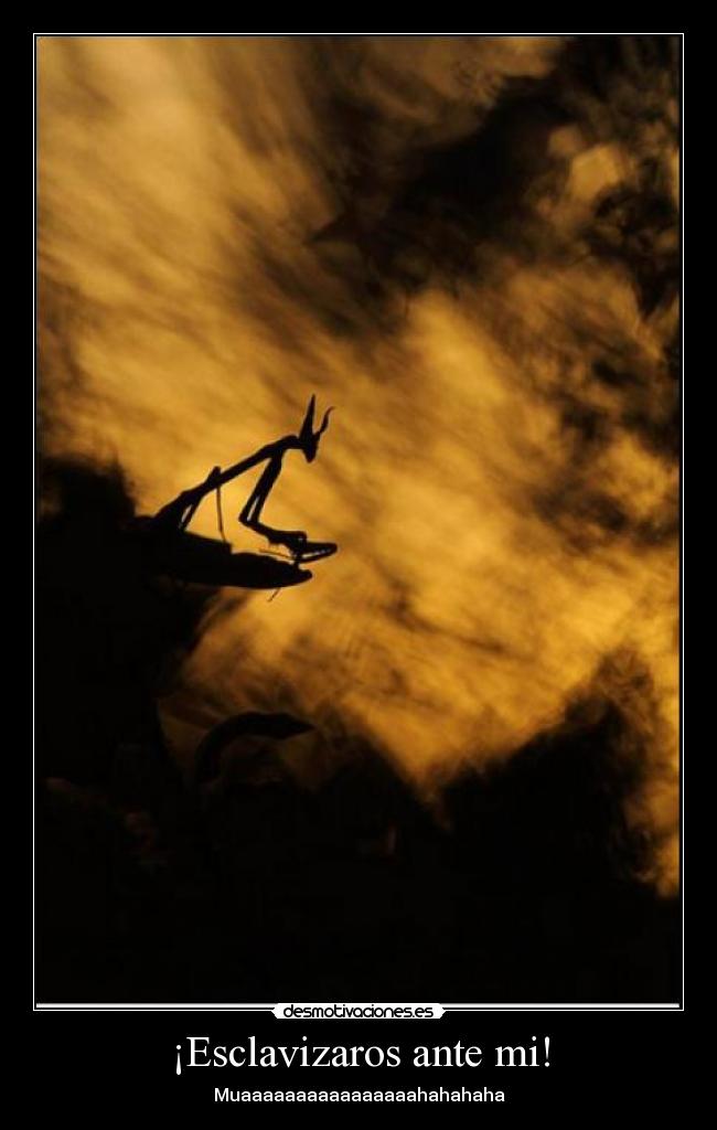 ¡Esclavizaros ante mi! - Muaaaaaaaaaaaaaaaahahahaha