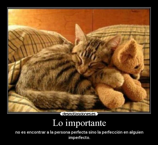 Lo importante - 