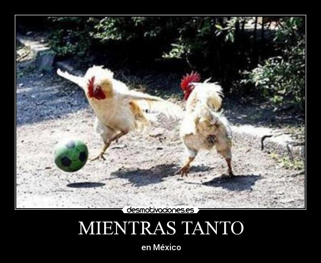 MIENTRAS TANTO -