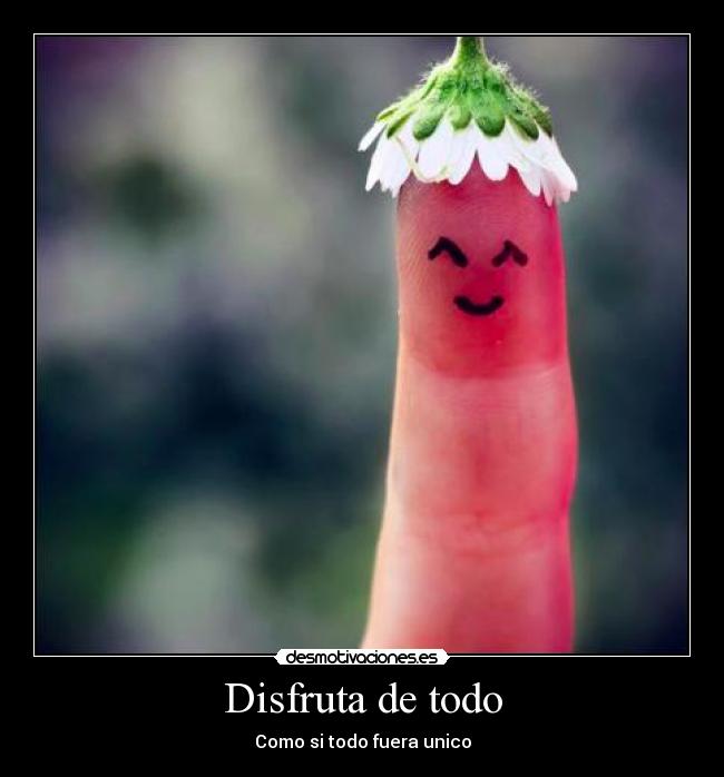 Disfruta de todo - Como si todo fuera unico