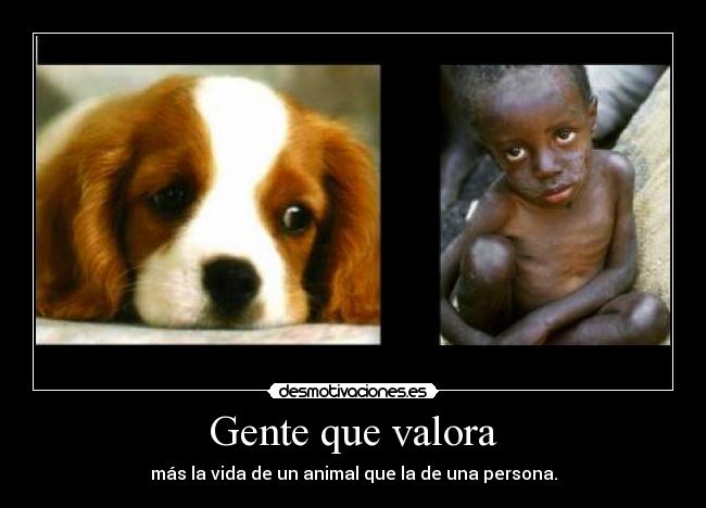 Gente que valora - más la vida de un animal que la de una persona.