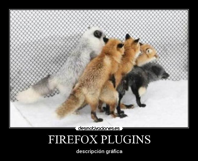 FIREFOX PLUGINS - 