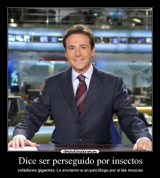 Dice ser perseguido por insectos - voladores gigantes. Lo enviaron a un psicólogo por si las moscas