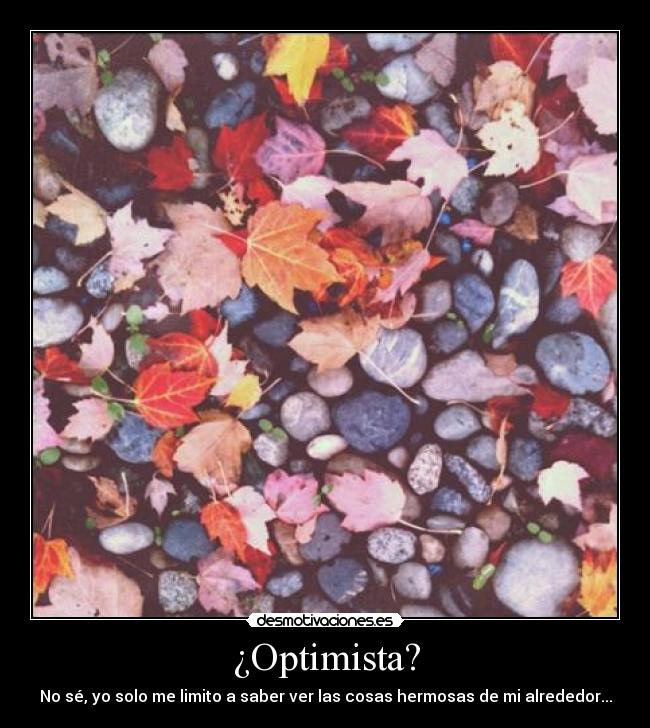 ¿Optimista? - No sé, yo solo me limito a saber ver las cosas hermosas de mi alrededor...