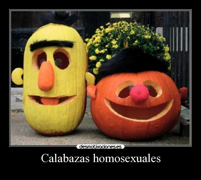 Calabazas homosexuales -