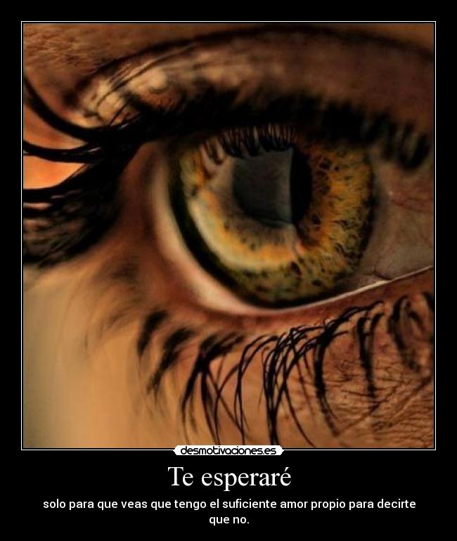 Te esperaré - solo para que veas que tengo el suficiente amor propio para decirte que no.