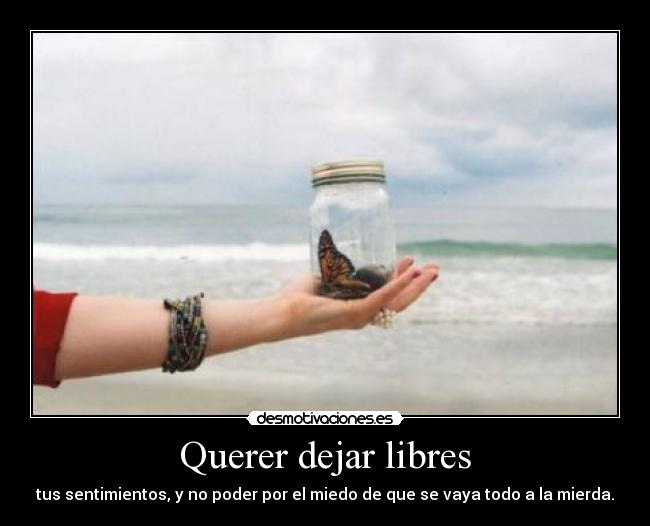 Querer dejar libres - tus sentimientos, y no poder por el miedo de que se vaya todo a la mierda.