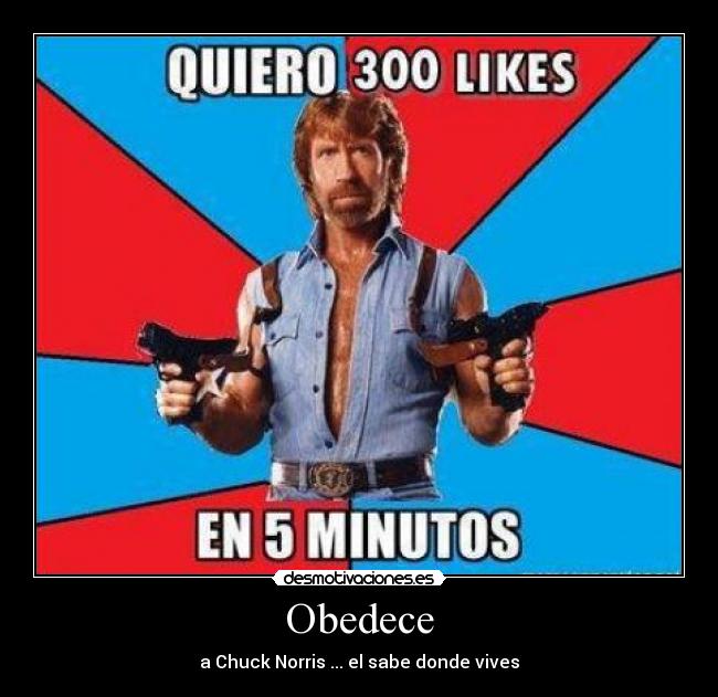 Obedece - a Chuck Norris ... el sabe donde vives