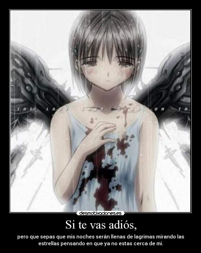 Si te vas adiós, - pero que sepas que mis noches serán llenas de lagrimas mirando las
estrellas pensando en que ya no estas cerca de mi.