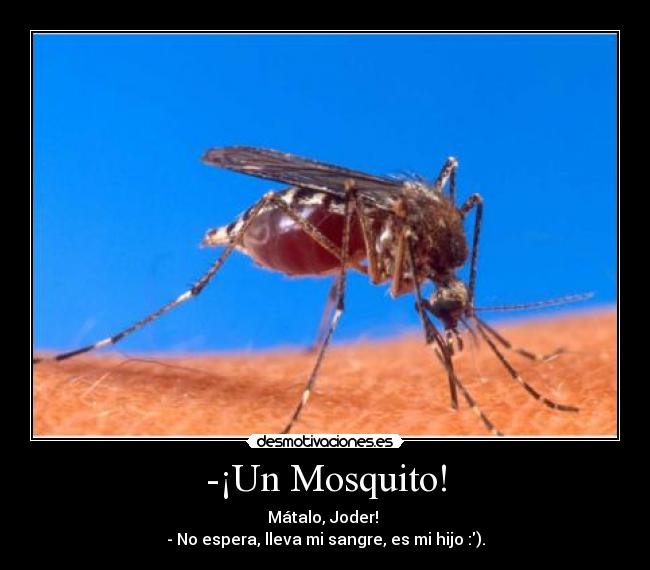 -¡Un Mosquito! - 