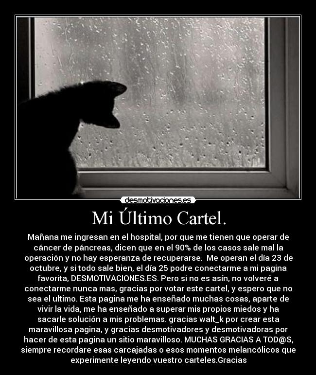 Mi Último Cartel. - 