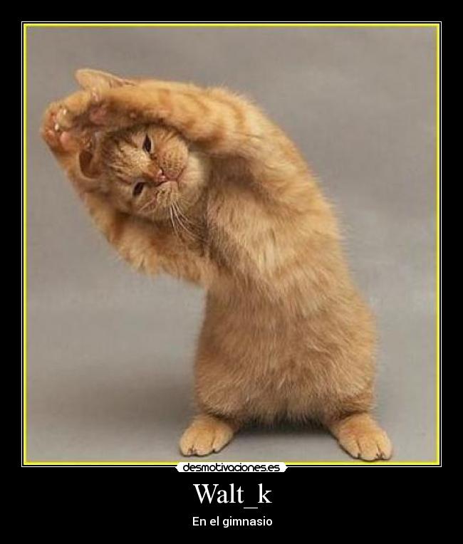 Walt_k - En el gimnasio